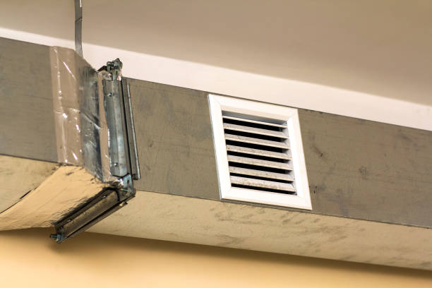 Best Best Air Duct Cleaning Company  in Lake Helen, FL